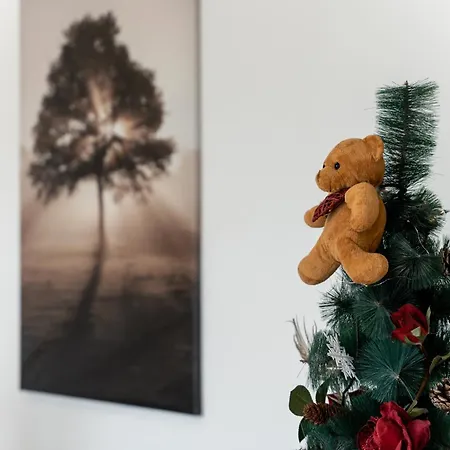 Infinity View Apartment Zlatibor